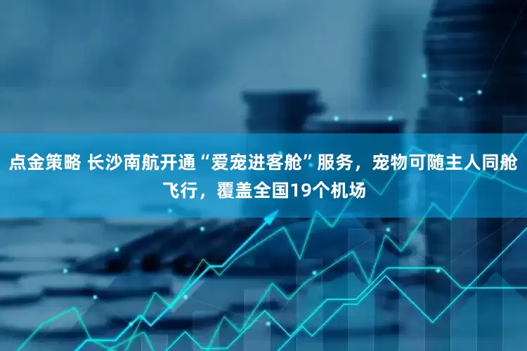点金策略 长沙南航开通“爱宠进客舱”服务，宠物可随主人同舱飞行，覆盖全国19个机场