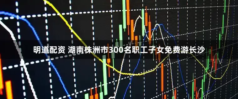 明道配资 湖南株洲市300名职工子女免费游长沙