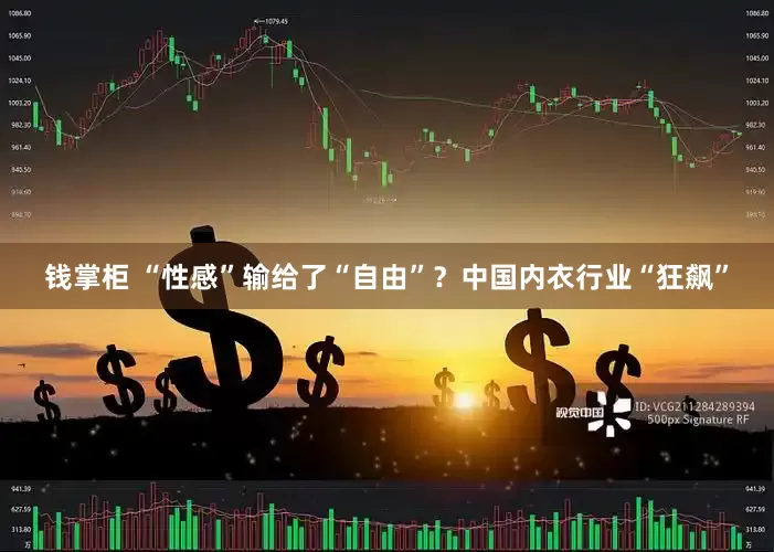 钱掌柜 “性感”输给了“自由”？中国内衣行业“狂飙”